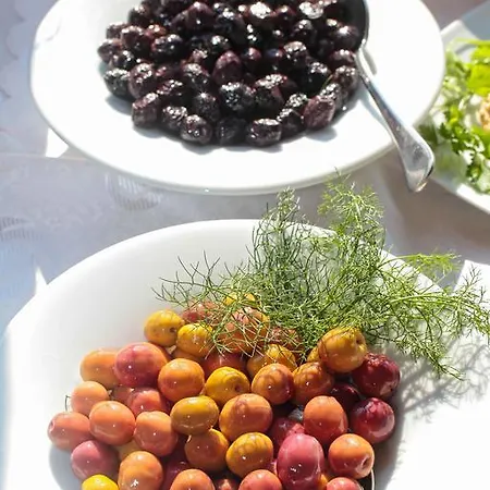 招待所 Kale 博兹贾阿达岛